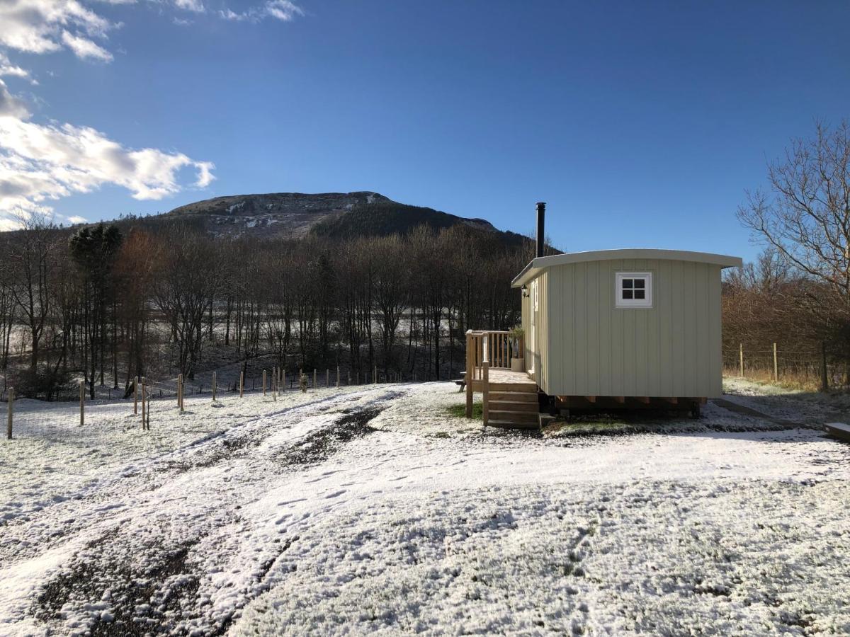 Rosemary Shepherds Hut, Clay Bank Huts Ingleby Greenhow 외부 사진